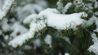 Μαρουσάκης: Θα κάνουμε φέτος... Πασχούγεννα;
