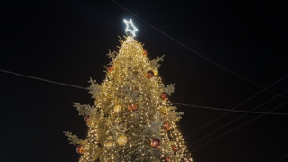 Άναψε το πρώτο χριστουγεννιάτικο δέντρο-Σε ποια περιοχή της Ελλάδας «μύρισε» γιορτές (vid)