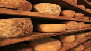 Ποιος ανακάλυψε τον τροχό; Απάντησαν οι αρχαιολόγοι