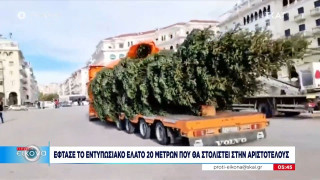 Θεσσαλονίκη: Έφτασε το εντυπωσιακό χριστουγεννιάτικο έλατο 20 μέτρων