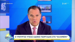 Γεωργιάδης: Το λάθος του Φάμελλου και το «ετοιμαστείτε για μεγάλο ξύλο»
