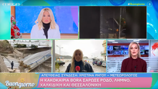 Κακοκαιρία Bora: Ξέσπασε ρεπόρτερ του MEGA - «Φτάνει πια με τα λόγια»