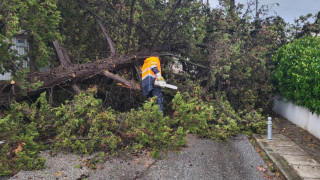 Πυλαία:  «Κεραυνοί» Καϊτεζίδη κατά ΔΕΔΔΗΕ για «εγκληματική αδιαφορία»-Κατέθεσε μηνύσεις