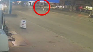 Θεσσαλονίκη:  Καρέ-καρέ η φονική παράσυρση 63χρονου από μηχανή  που πέρασε με κόκκινο