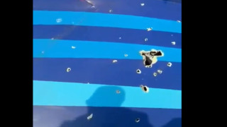 Συντριβή αεροπλάνου-Βίντεο ντοκουμέντο και ΑΝΑΤΡΟΠΗ: Μπορεί να χτυπήθηκε από αντιαεροπορικά πυρά!