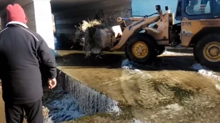 Θεοφάνεια-Κιλκίς: Χρειάστηκε μπουλντόζα για να βρεθεί ο σταυρός