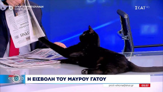 Viral η γάτα του ΣΚΑΙ που θέλει να διαβάσει... εφημερίδα
