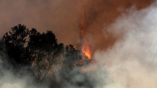 Λος Άντζελες: Υπαίτιοι για τη φωτιά όσοι... γιόρταζαν την Πρωτοχρονιά