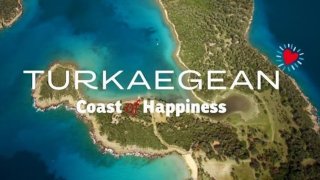 Γεωργιάδης για Turkaegean: «Πανηγυρική δικαίωση» η ακύρωση του σήματος