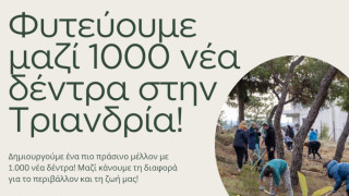 Θεσσαλονίκη-Δήμος Τριανδρίας: Φυτεύουν 1.000 νέα δέντρα