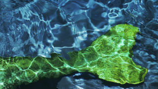 Ποια είναι η «γοργόνα» από τη Θεσσαλονίκη που κολύμπησε με σαλάχια στις Μαλδίβες!