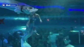 Τεράστιο ψάρι δαγκώνει στο κεφάλι γυναίκα μέσα σε ενυδρείο!