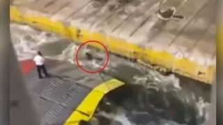 Αντώνης Καργιώτης: «Επικίνδυνο» τον χαρακτήρισε ο κατηγορούμενος ύπαρχος