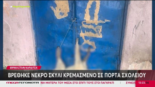 Καρδίτσα: Κρέμασαν νεκρό σκυλί σε πόρτα σχολείου