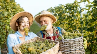 Το ζουμερό φρούτο που κρατά νέους τους μυς
