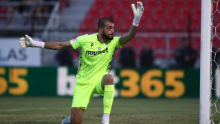 «Εθνική» επιστροφή με χαμόγελα για Γκουγκεσασβίλι! (vids)