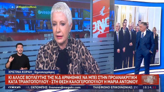 Προανακριτική για Τριαντόπουλο: Τι συνέβη με Καλογερόπουλο-Στη θέση του η Μαρία Αντωνίου