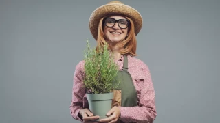 Νόσος Αλτσχάιμερ: Το αρωματικό βότανο που βελτιώνει τη μνήμη και καταπολεμά τη φλεγμονή