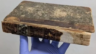 Το «πιο αηδιαστικό βιβλίο στον κόσμο»