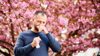 Αλλεργίες: Μην τις αφήσετε να σας χαλάσουν τις διακοπές του Πάσχα