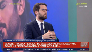 Ακρωτηριασμός Άρη Μουγκοπέτρου: «Γνωρίζει τον άνθρωπο που του έδωσε την κροτίδα»