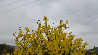 Πρόσκαιρες βροχές και καταιγίδες σε όλη τη χώρα: Υψηλές οι θερμοκρασίες