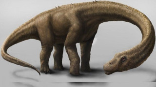 Δεινόσαυρος με μέγεθος σπιτιού και βάρος όσο ένα κοπάδι ελέφαντες!