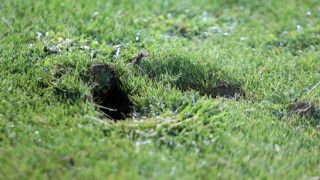 Το ίδιο      χάλι ο αγωνιστικός     χώρος στη Βέροια