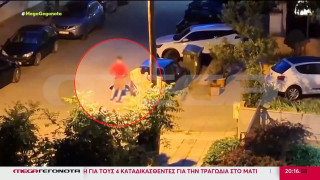 Θεσσαλονίκη: Ελεύθερος ο 34χρονος που σκότωσε το γατάκι