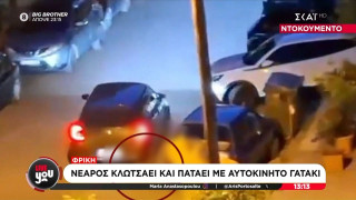 Καλαμαριά: Βασάνισε, και πάτησε γατάκι με το ΙΧ του!