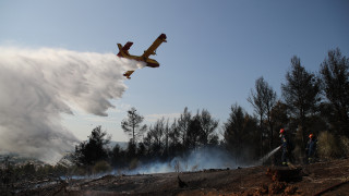 ΦΩΤΟΡΕΠΟΡΤΑΖ - Καλύτερη η εικόνα της φωτιάς στην Ευκαρπία Θεσσαλονίκης