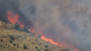 Σε τρία μέτωπα ο πύρινος εφιάλτης στη Χίο: Εκκενώθηκαν 19 οικισμοί
