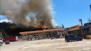 Φωτιά σε περιαστικό δάσος στην Καβάλα-Ισχυροί άνεμοι στην περιοχή