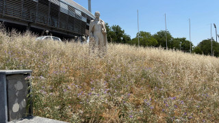 Τα χόρτα θα… σκεπάσουν -και- τον Καυτανζόγλου