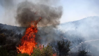 Χαλκιδική: Συνελήφθη αλλοδαπός για την πυρκαγιά στη Βουρβουρού