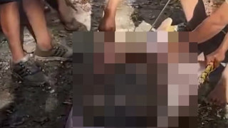 Πύθωνας 8,5 μέτρων κατάπιε αγρότη!