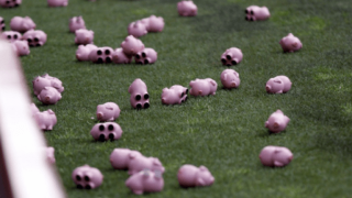 Πέταξαν... γουρούνια σε αγγλικό               γήπεδο!