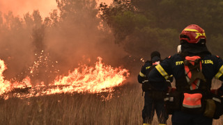 Ποιες είναι οι πιο επικίνδυνες περιοχές μέχρι τον Σεπτέμβριο για την εκδήλωση φωτιάς
