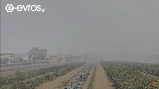 Μεγάλη πυρκαγιά στην Αλεξανδρούπολη: Μήνυμα εκκένωσης προς τους κατοίκους