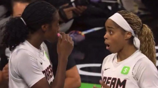 WNBA: Έφυγε sex toy από την εξέδρα!