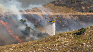 Πάτρα: Νέες συλλήψεις για τους εμπρησμούς-Ομολόγησε ο ένας