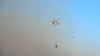 Τρομακτική η κατάσταση στην Πάτρα: Η φωτιά «αγκάλιασε» την πόλη!