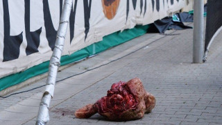 Βαριά τιμωρία στην Ντιναμό Δρέσδης για το... κομμένο κεφάλι ταύρου!