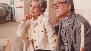 «Από τον Αλέκο Αλεξανδράκη χώρισα εξαιτίας του Δημήτρη Χορν»