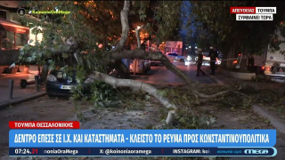 Θεσσαλονίκη-Τούμπα: Έπεσε πλατάνι στη Λαμπράκη!