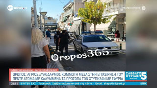 Ωρωπός: Άγριος ξυλοδαρμός κομμωτή μέσα στο μαγαζί του