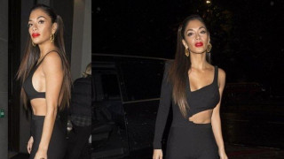 Η «Cat Woman» Νικόλ Σέρζινγκερ άναψε...φωτιές (pics)