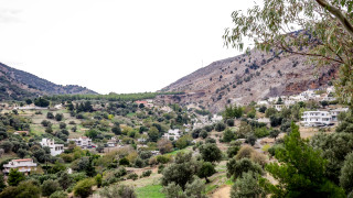 Βορίζια: Η στιγμή που η αδελφή του 39χρονου μαθαίνει τον θάνατό του-«Φανούρη μου, σε φάγανε»