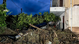 Κακοκαιρία Byron: Ανέβηκε στην ταράτσα για να δώσει φαγητό στην εγκλωβισμένη μητέρα της