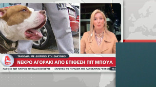 ΣΥΓΚΛΟΝΙΣΤΙΚΟ: «Το πήρα για να έχει ένα μέρος να μείνει και αυτό μου έφαγε το παιδί μου»